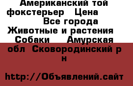 Американский той фокстерьер › Цена ­ 25 000 - Все города Животные и растения » Собаки   . Амурская обл.,Сковородинский р-н